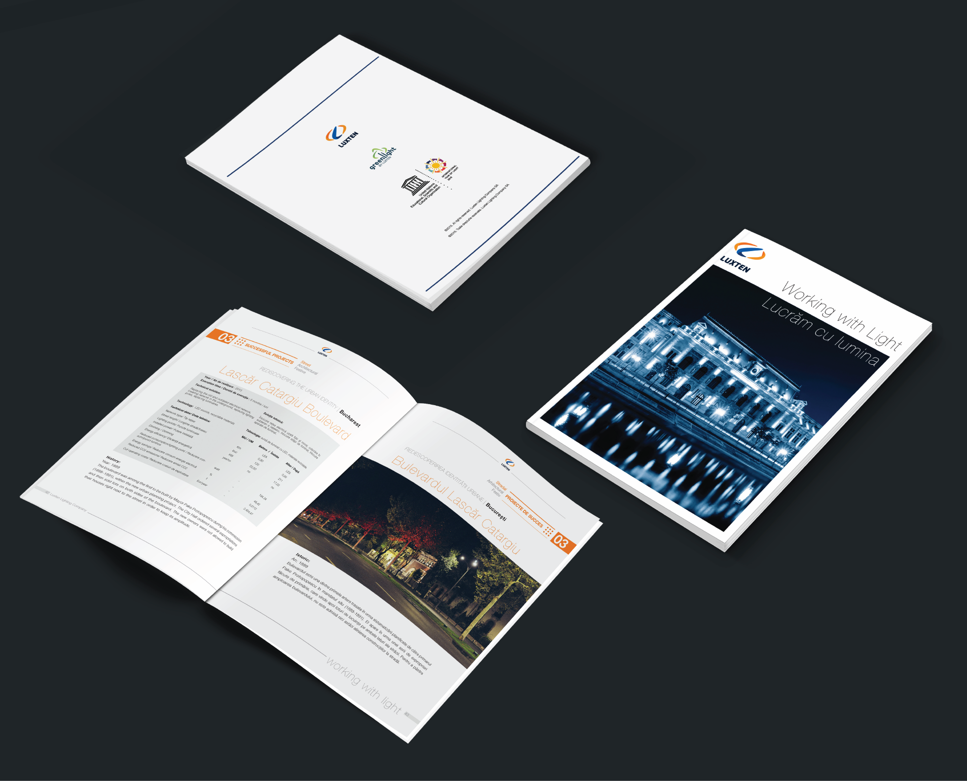 rizi_lx_annual report2-01