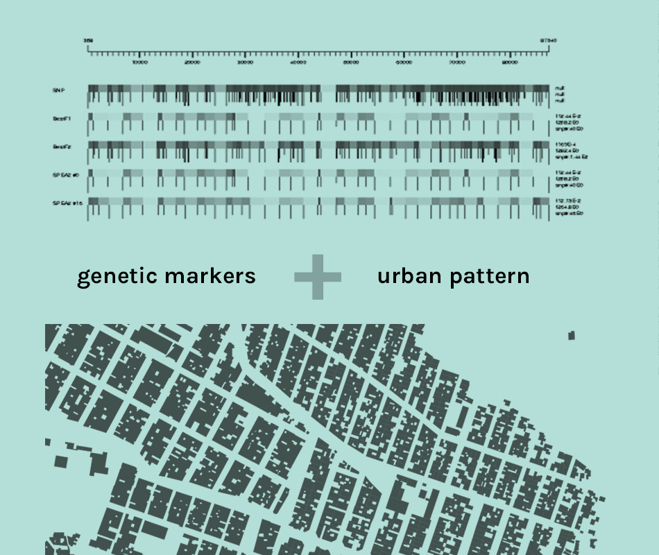 rizi-urban markers slide 1-1