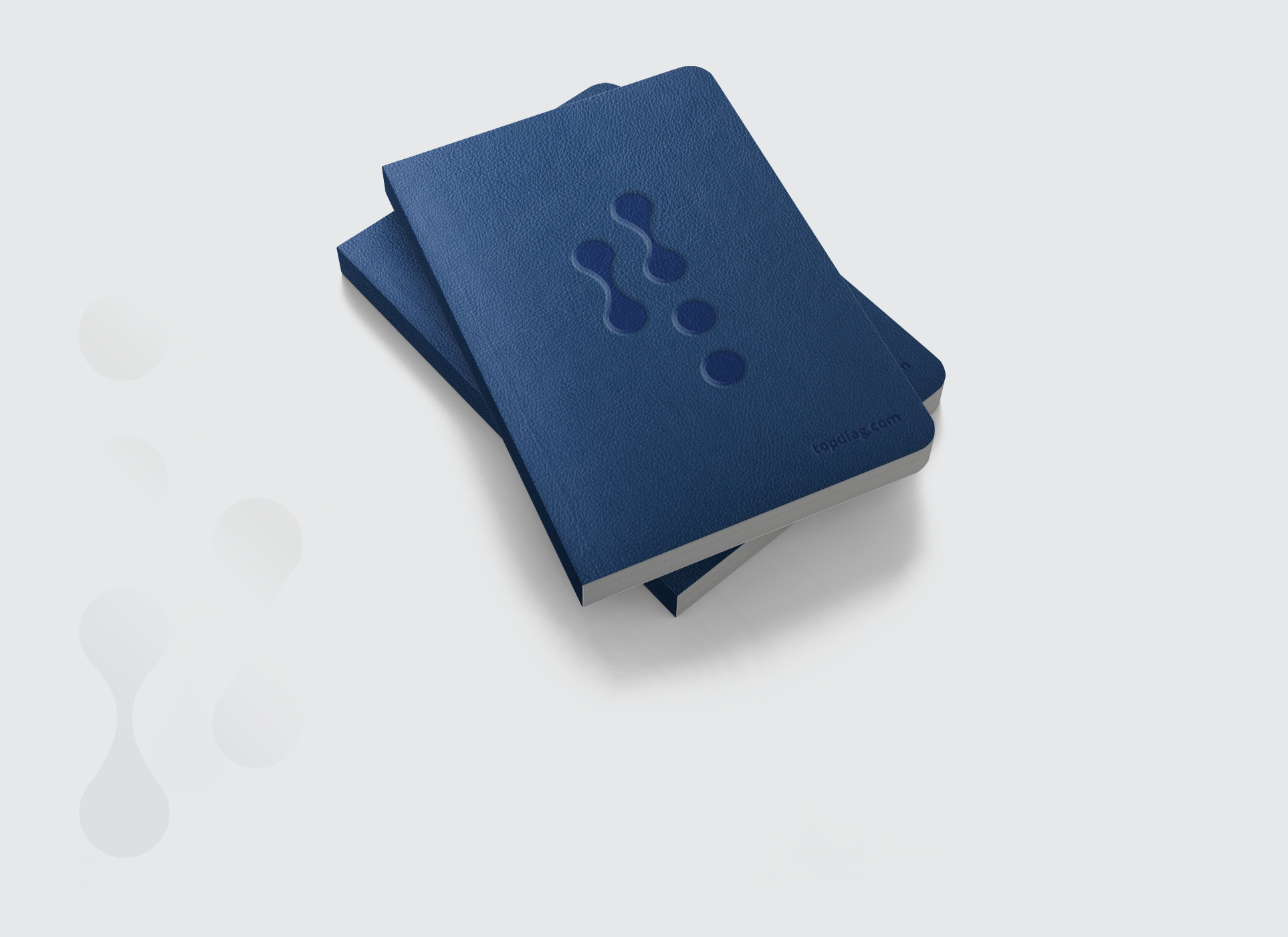 TopDiag_agenda_Rizi-1