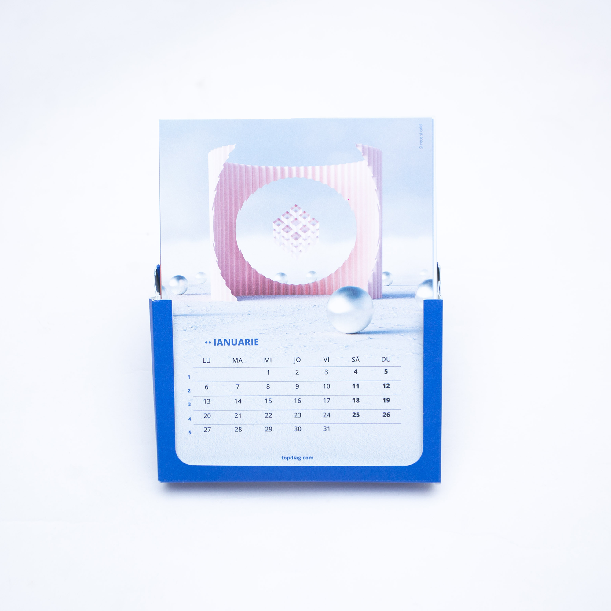 TopDiag_calendar_Rizi-2