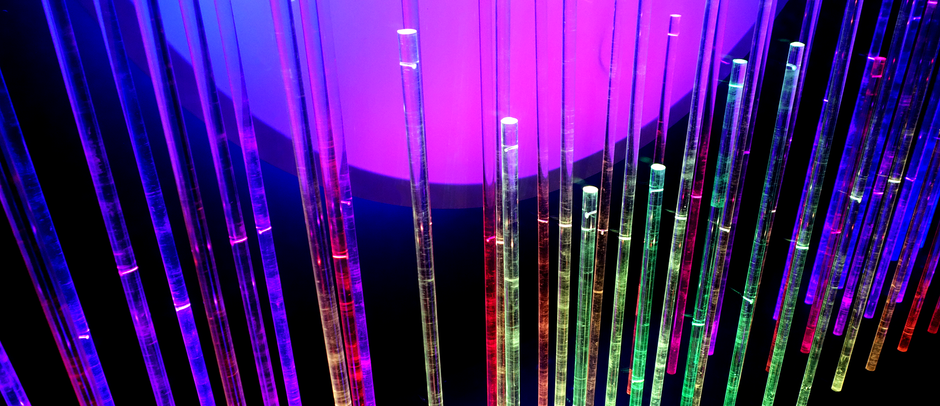 Tokyo Lights_Rizi