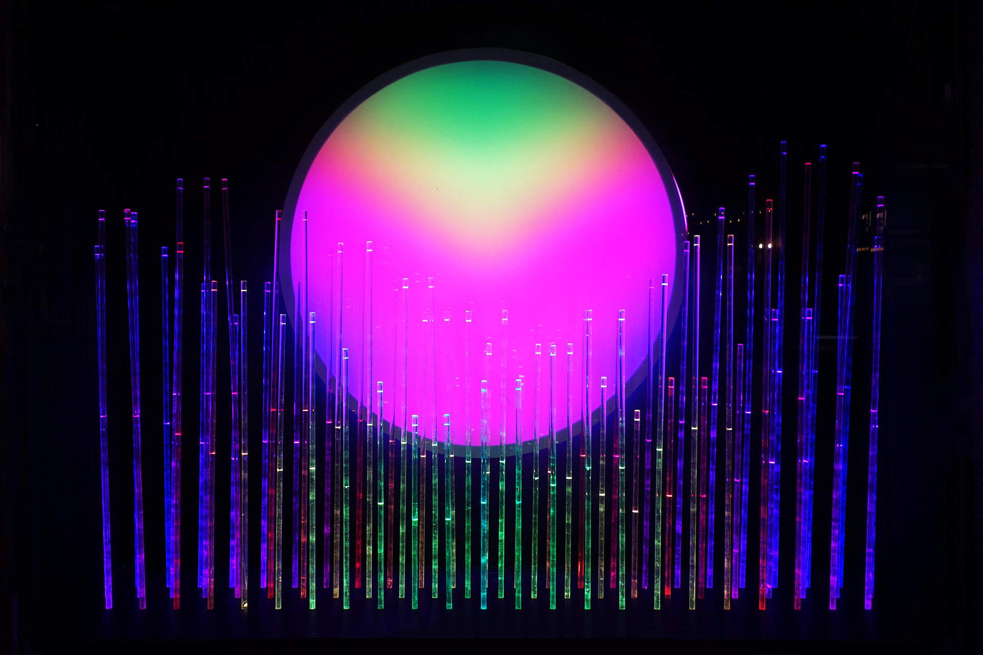 Tokyo Lights_Rizi2