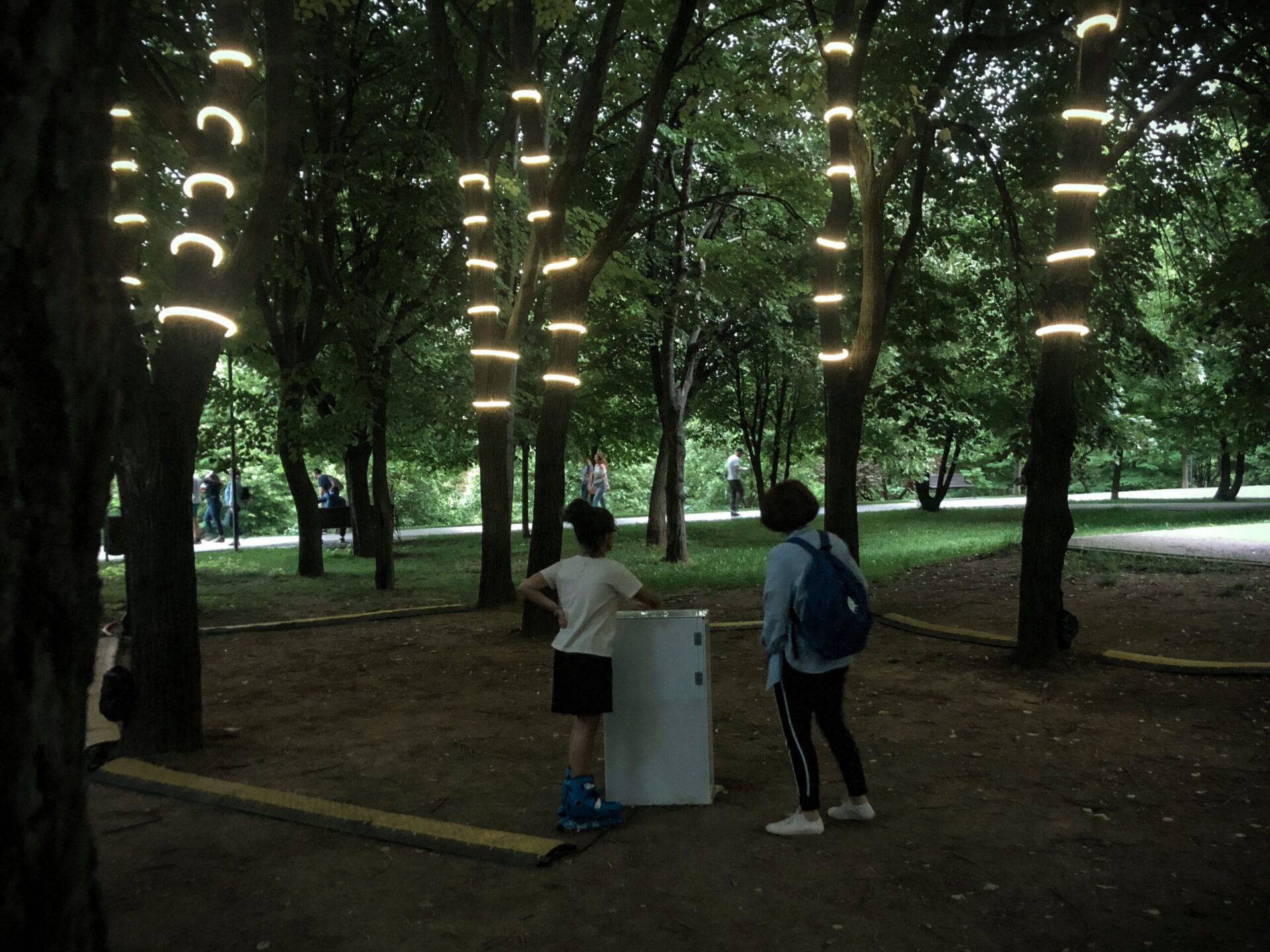 Driade installation - 2022